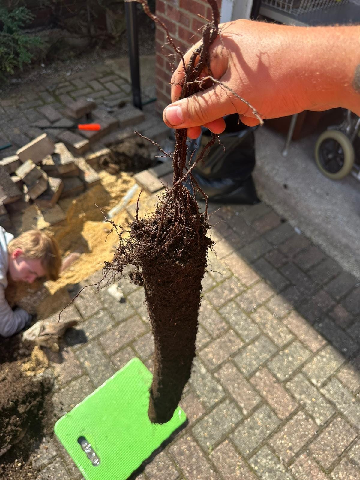 drain root cutting